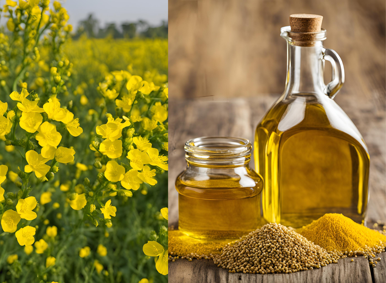 Mustard Oil: Useful or Dangerous for Cooking